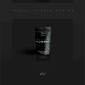 Emerald Castle Branding uai - Joshua Jackai The #1 Graphic Design Agency For E-Commerce Businesses