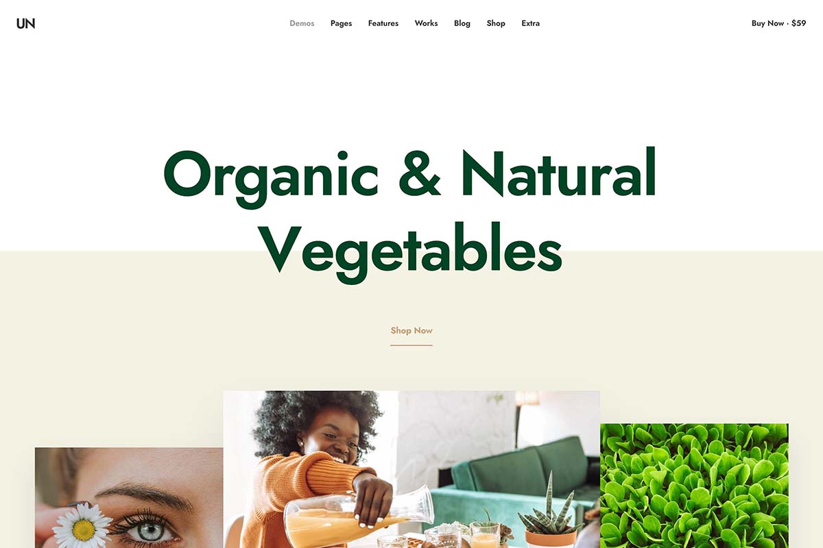 demo homepage Shop Organic Uncode - Joshua Jackai The #1 Graphic Design Agency For E-Commerce Businesses