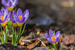 img9 2 uai - Joshua Jackai The #1 Graphic Design Agency For E-Commerce Businesses