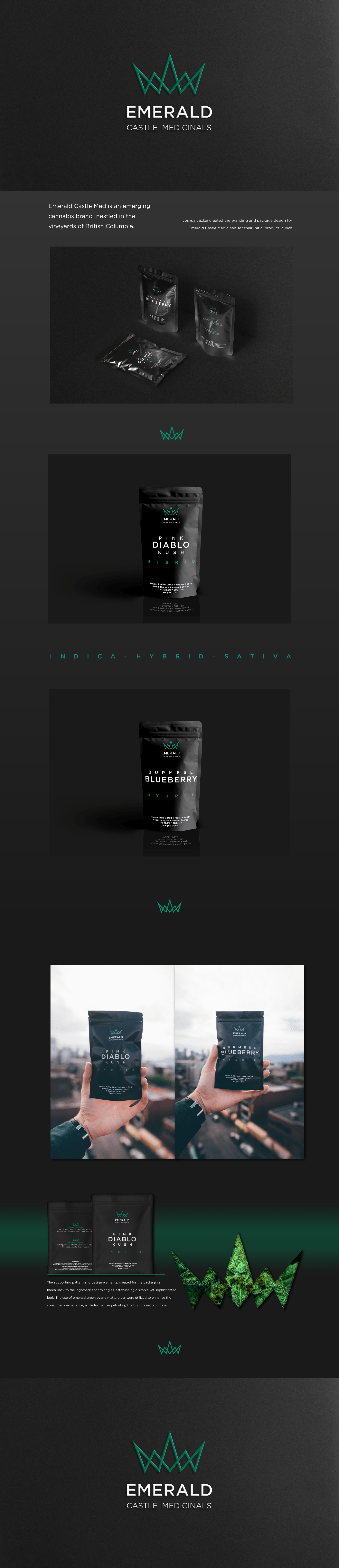 1d3ca585419869.5d81bc1899382 1 - Joshua Jackai The #1 Graphic Design Agency For E-Commerce Businesses